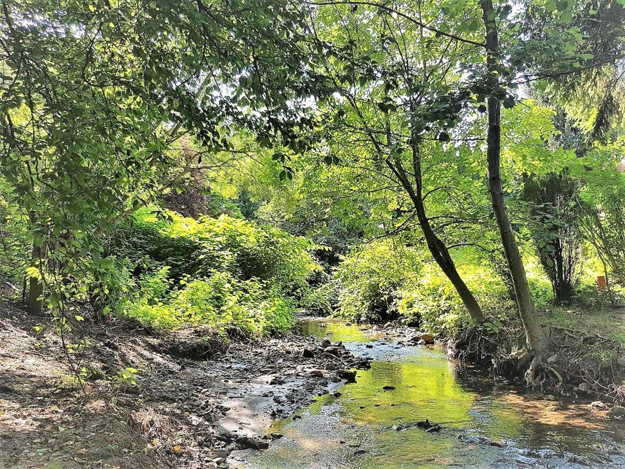 Muskátli Vendégház Hostel Parád Kültér fotó